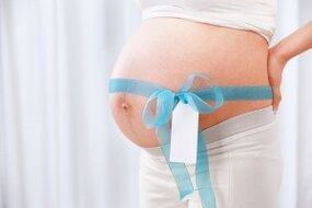 The size of the genital organ of boys is indirectly affected by the lifestyle of the mother during pregnancy.